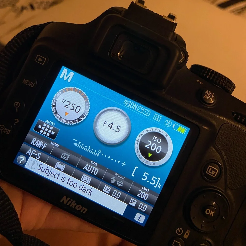 Nikon D3300 with accessories